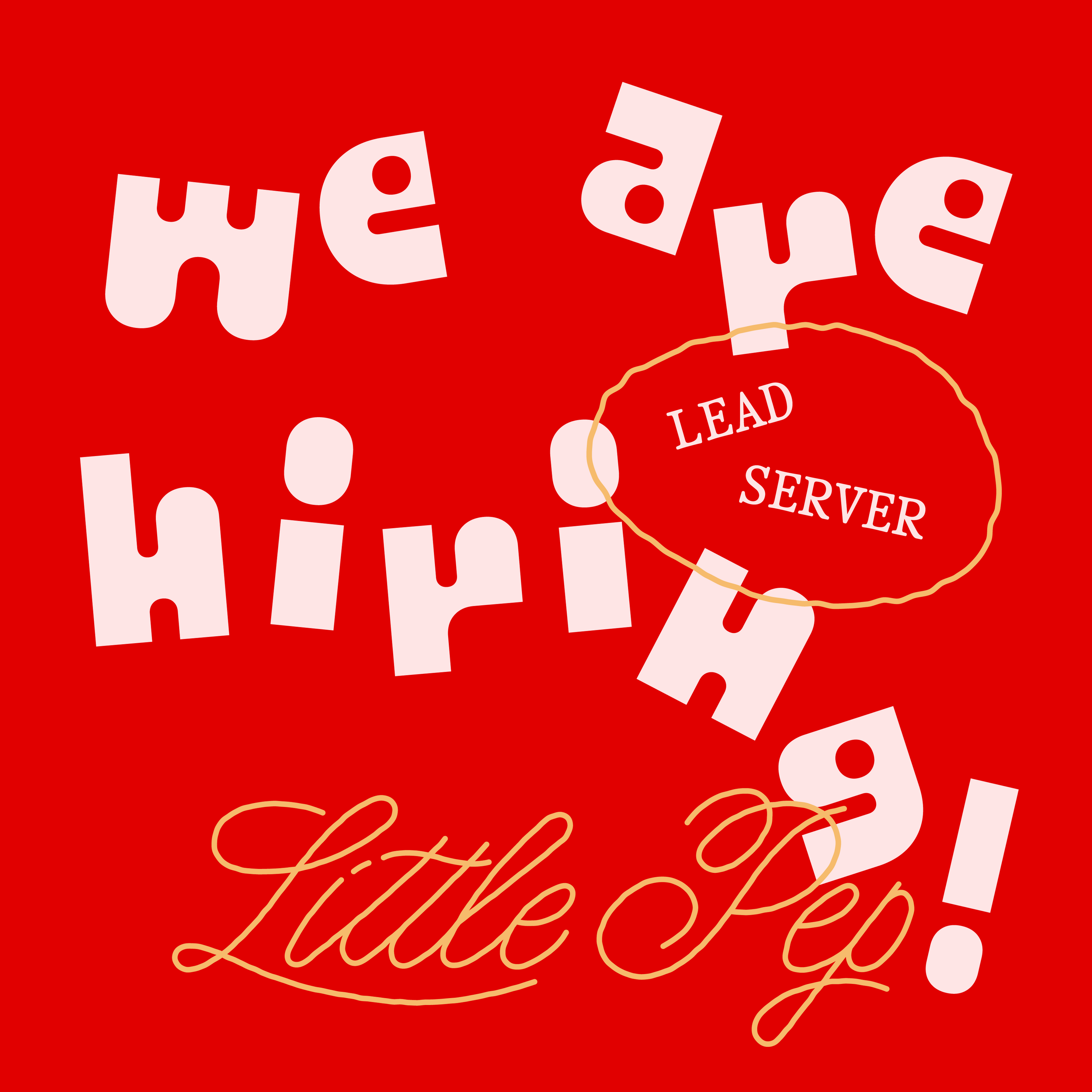 Lead Server